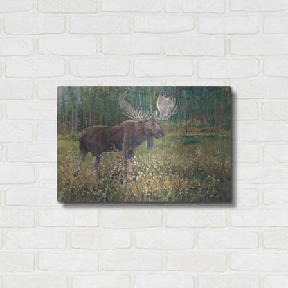Luxe Metal Art 'Moose in the Field' by Tim O'Toole, Metal Wall Art,24x16