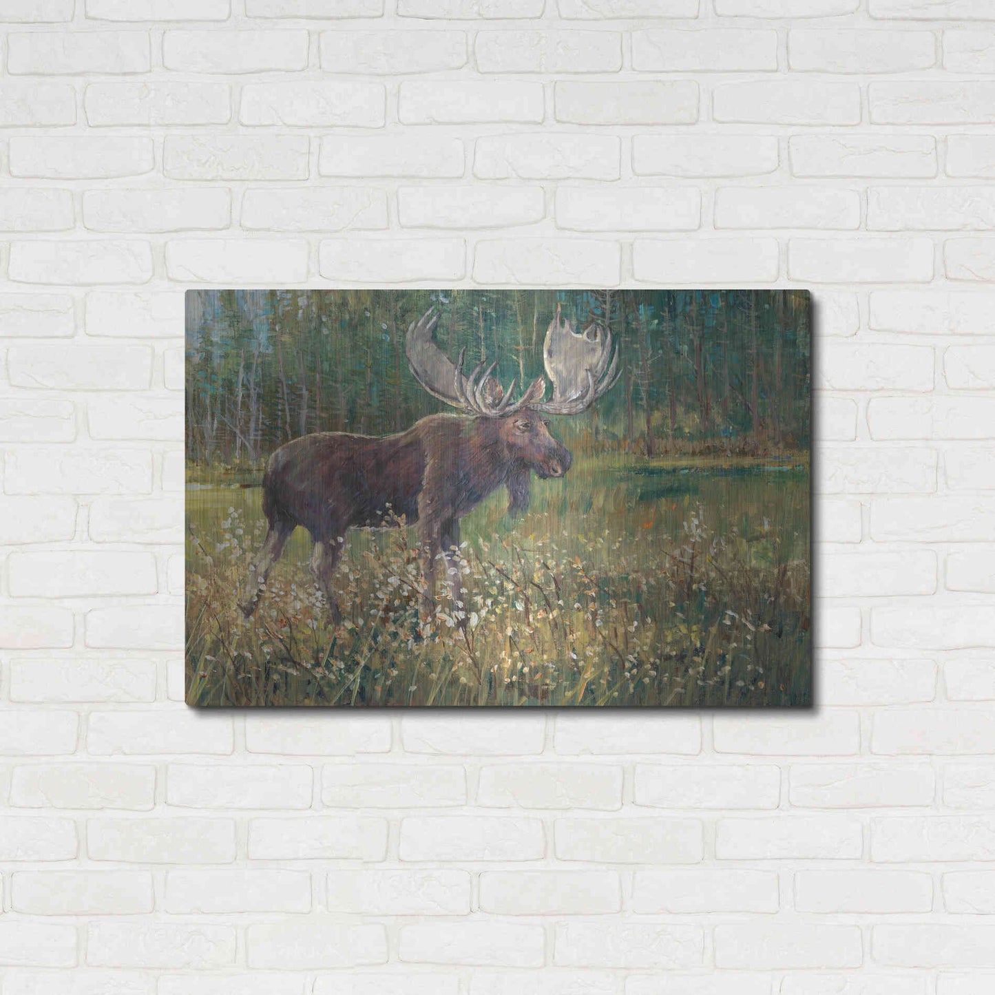 Luxe Metal Art 'Moose in the Field' by Tim O'Toole, Metal Wall Art,36x24