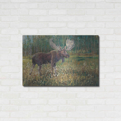 Luxe Metal Art 'Moose in the Field' by Tim O'Toole, Metal Wall Art,36x24