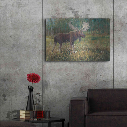 Luxe Metal Art 'Moose in the Field' by Tim O'Toole, Metal Wall Art,36x24