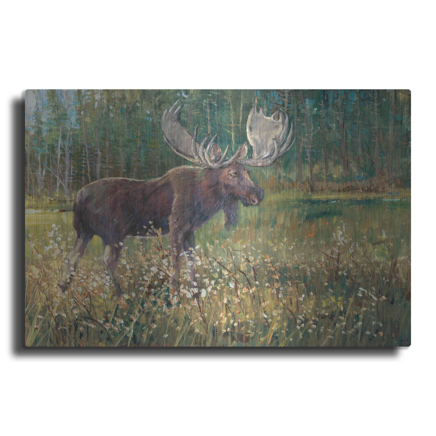 Luxe Metal Art 'Moose in the Field' by Tim O'Toole, Metal Wall Art