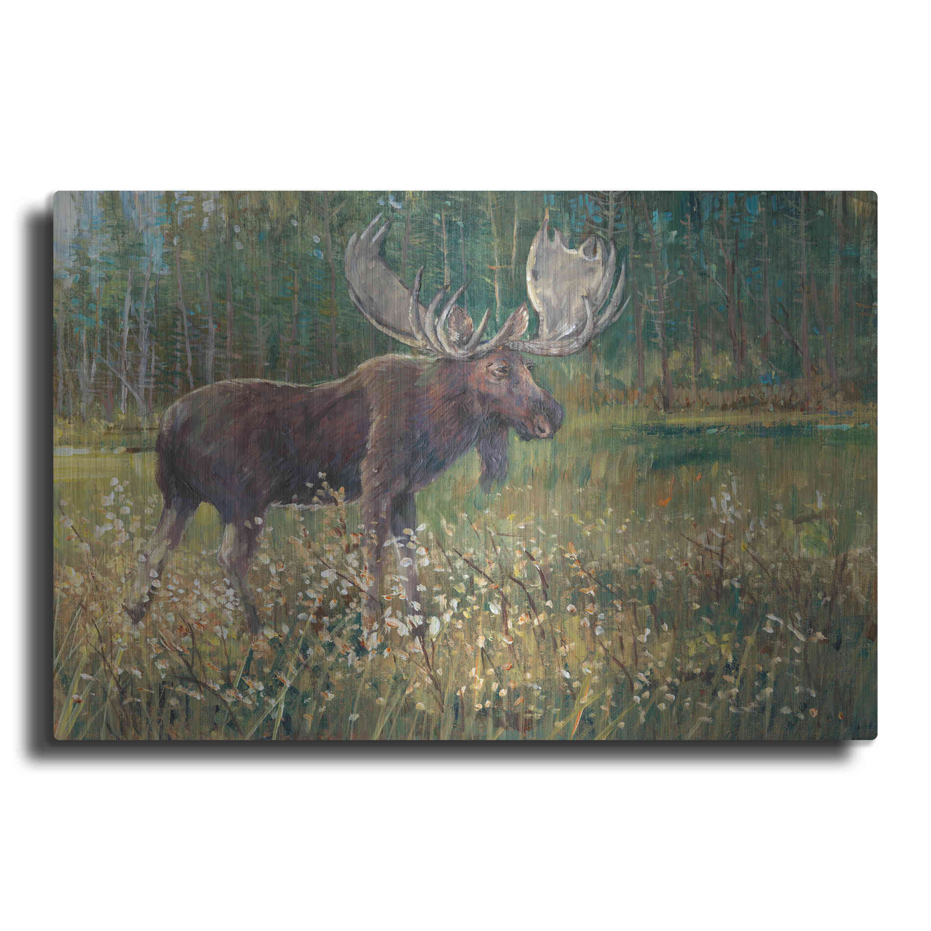 Luxe Metal Art 'Moose in the Field' by Tim O'Toole, Metal Wall Art