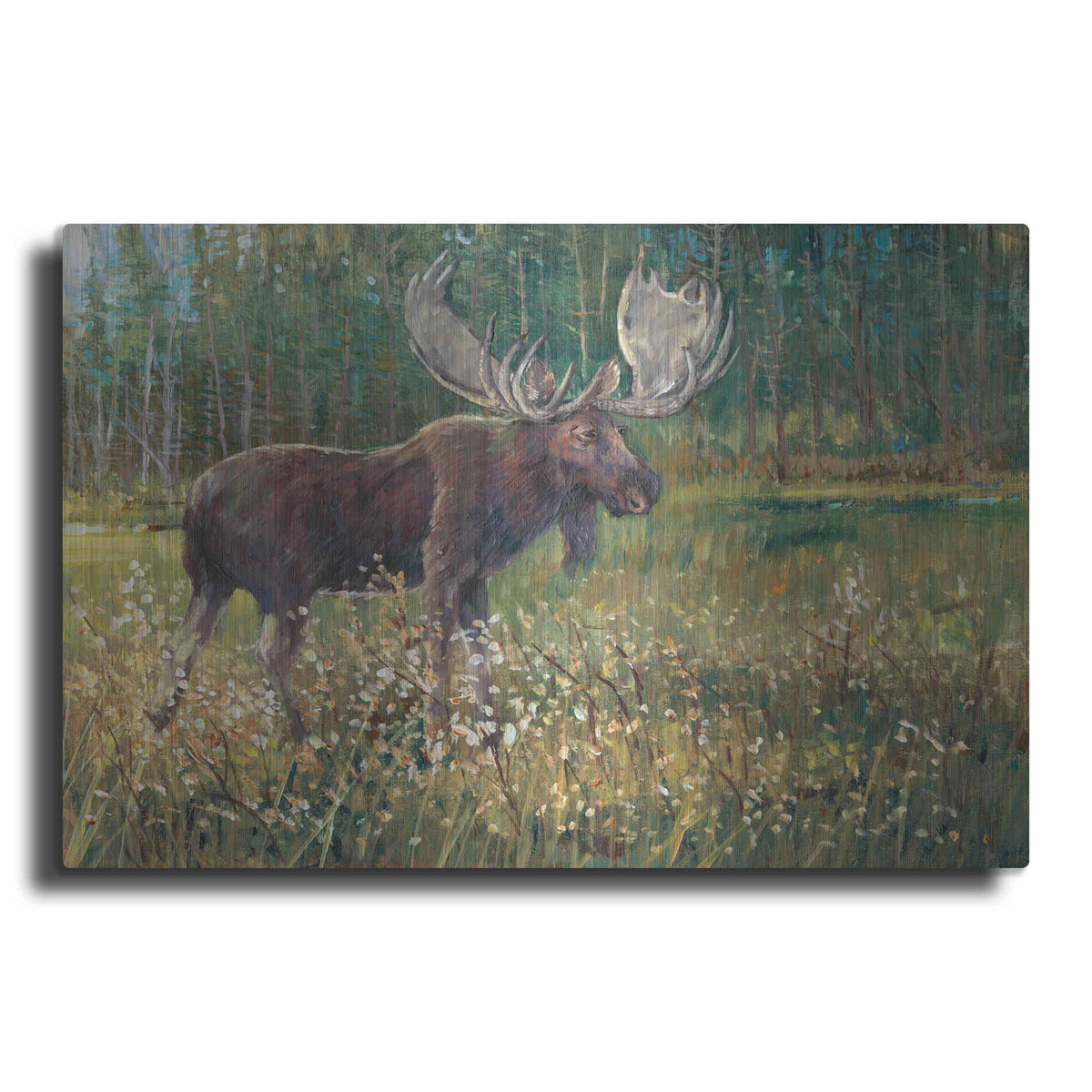 Luxe Metal Art 'Moose in the Field' by Tim O'Toole, Metal Wall Art