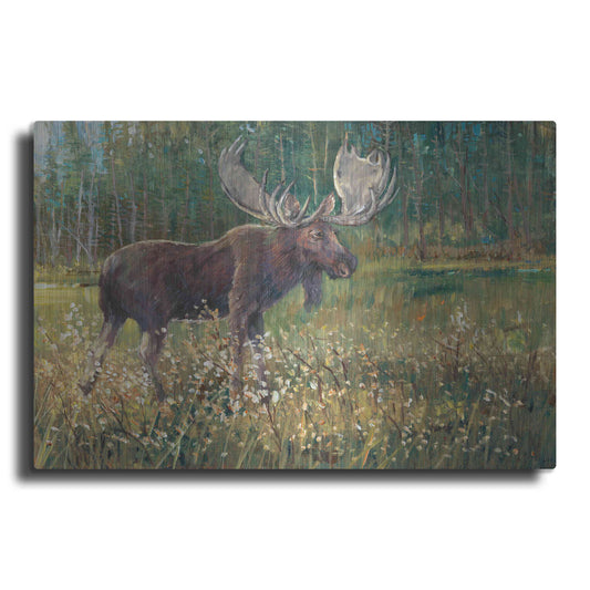 Luxe Metal Art 'Moose in the Field' by Tim O'Toole, Metal Wall Art