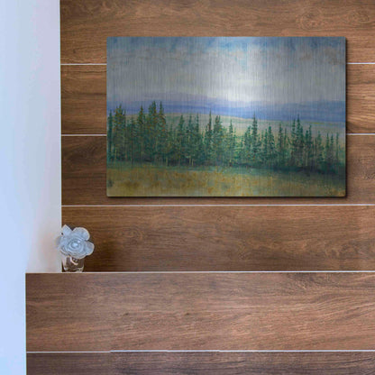 Luxe Metal Art 'Pine Tops I' by Tim O'Toole, Metal Wall Art,16x12