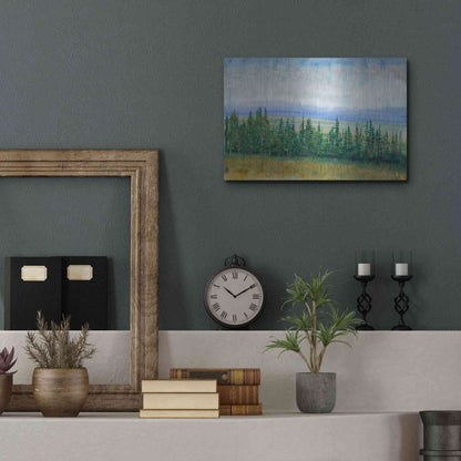 Luxe Metal Art 'Pine Tops I' by Tim O'Toole, Metal Wall Art,16x12