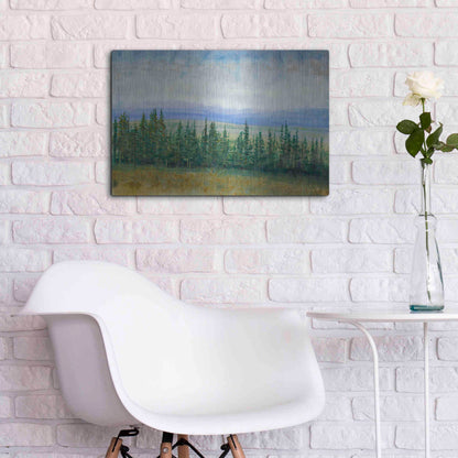 Luxe Metal Art 'Pine Tops I' by Tim O'Toole, Metal Wall Art,24x16