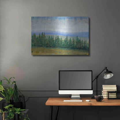 Luxe Metal Art 'Pine Tops I' by Tim O'Toole, Metal Wall Art,36x24