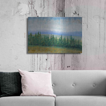 Luxe Metal Art 'Pine Tops I' by Tim O'Toole, Metal Wall Art,36x24