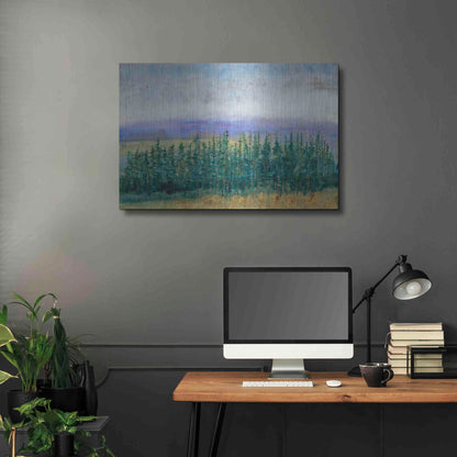 Luxe Metal Art 'Pine Tops II' by Tim O'Toole, Metal Wall Art,36x24