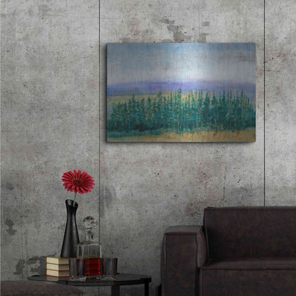 Luxe Metal Art 'Pine Tops II' by Tim O'Toole, Metal Wall Art,36x24