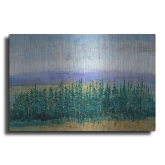 Luxe Metal Art 'Pine Tops II' by Tim O'Toole, Metal Wall Art