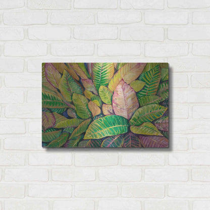 Luxe Metal Art 'Tropical Close Up I' by Tim O'Toole, Metal Wall Art,24x16