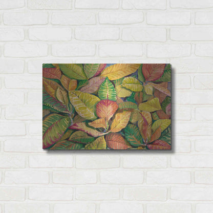 Luxe Metal Art 'Tropical Close Up II' by Tim O'Toole, Metal Wall Art,24x16