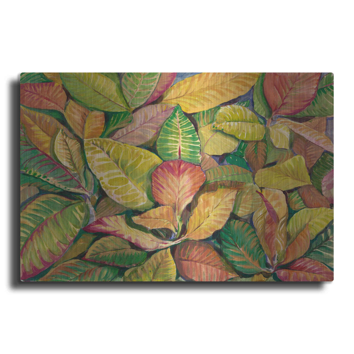 Luxe Metal Art 'Tropical Close Up II' by Tim O'Toole, Metal Wall Art
