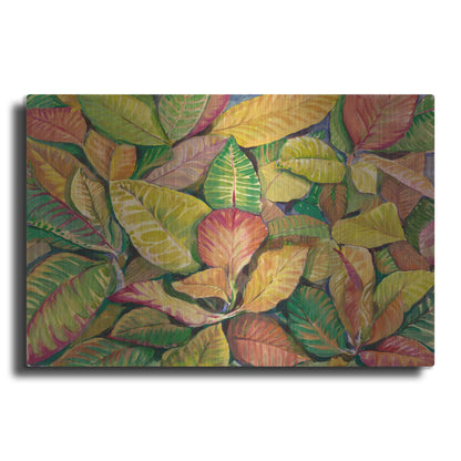 Luxe Metal Art 'Tropical Close Up II' by Tim O'Toole, Metal Wall Art