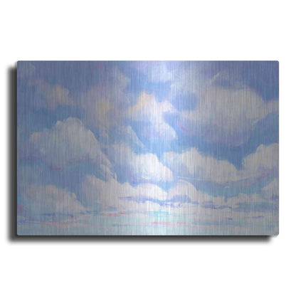 Luxe Metal Art 'Sky High I' by Tim O'Toole, Metal Wall Art