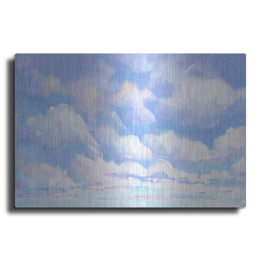 Luxe Metal Art 'Sky High I' by Tim O'Toole, Metal Wall Art