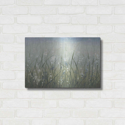 Luxe Metal Art 'Bliss I' by Tim O'Toole, Metal Wall Art,24x16