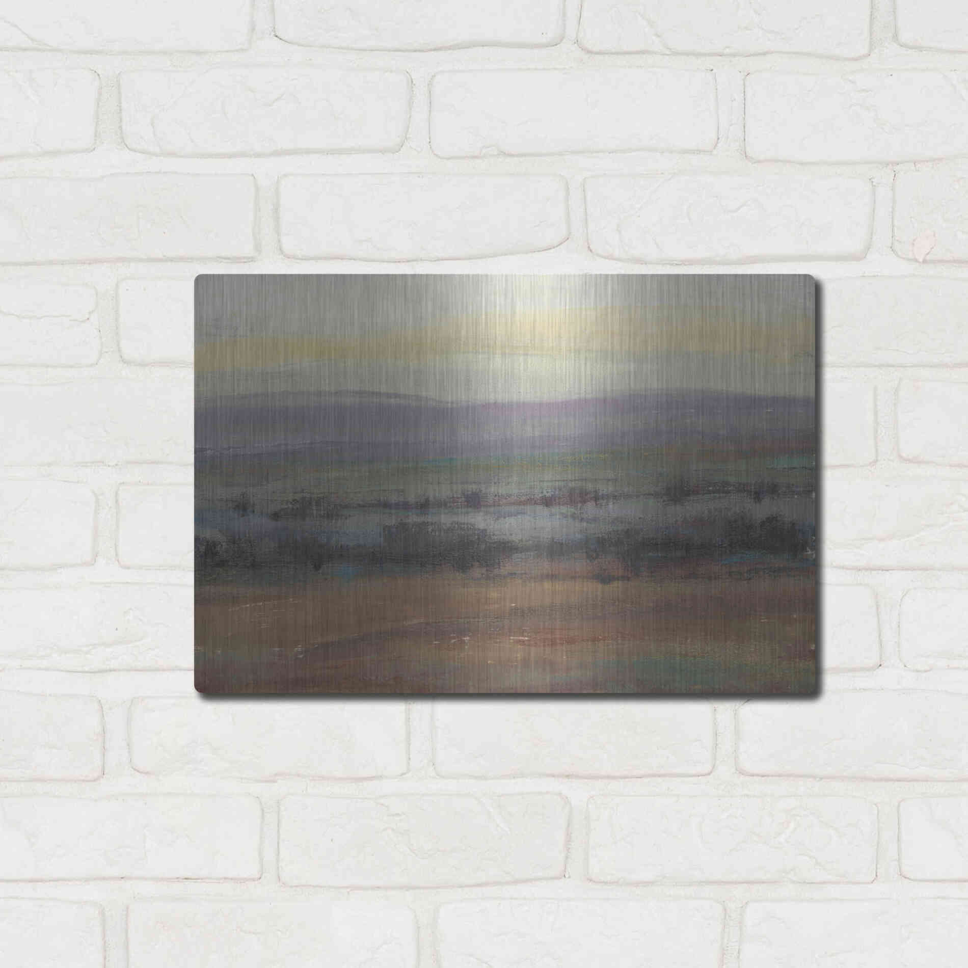 Luxe Metal Art 'Fast Fading Light I' by Tim O'Toole, Metal Wall Art,16x12