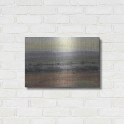 Luxe Metal Art 'Fast Fading Light I' by Tim O'Toole, Metal Wall Art,24x16