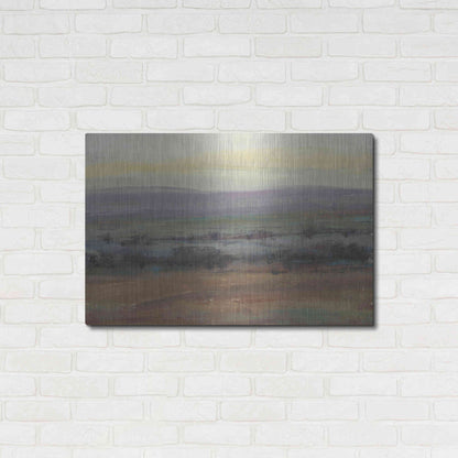 Luxe Metal Art 'Fast Fading Light I' by Tim O'Toole, Metal Wall Art,36x24