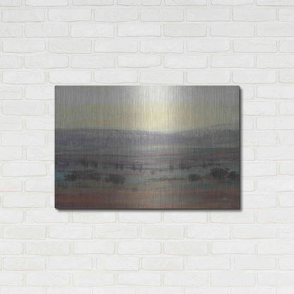 Luxe Metal Art 'Fast Fading Light II' by Tim O'Toole, Metal Wall Art,36x24