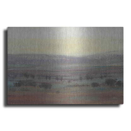 Luxe Metal Art 'Fast Fading Light II' by Tim O'Toole, Metal Wall Art