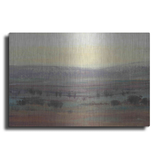 Luxe Metal Art 'Fast Fading Light II' by Tim O'Toole, Metal Wall Art