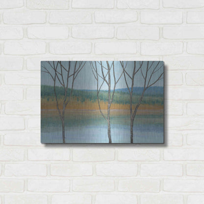 Luxe Metal Art 'Between Water III' by Tim O'Toole, Metal Wall Art,24x16