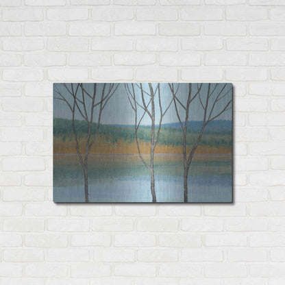 Luxe Metal Art 'Between Water III' by Tim O'Toole, Metal Wall Art,36x24