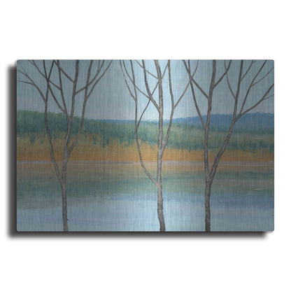 Luxe Metal Art 'Between Water III' by Tim O'Toole, Metal Wall Art