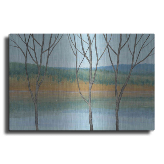 Luxe Metal Art 'Between Water III' by Tim O'Toole, Metal Wall Art