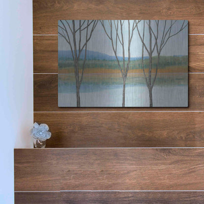 Luxe Metal Art 'Between Water IV' by Tim O'Toole, Metal Wall Art,16x12