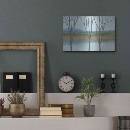 Luxe Metal Art 'Between Water IV' by Tim O'Toole, Metal Wall Art,16x12