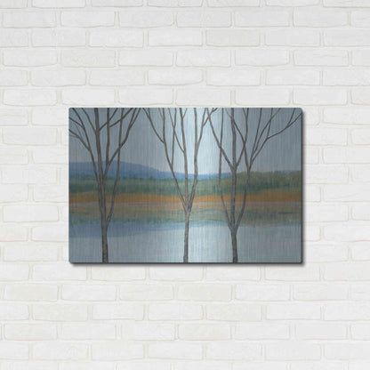 Luxe Metal Art 'Between Water IV' by Tim O'Toole, Metal Wall Art,36x24