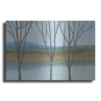 Luxe Metal Art 'Between Water IV' by Tim O'Toole, Metal Wall Art