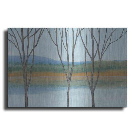 Luxe Metal Art 'Between Water IV' by Tim O'Toole, Metal Wall Art