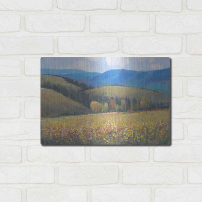 Luxe Metal Art 'Mountain Pass I' by Tim O'Toole, Metal Wall Art,16x12