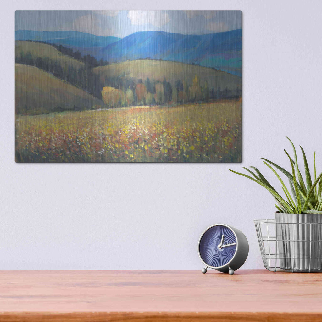 Luxe Metal Art 'Mountain Pass I' by Tim O'Toole, Metal Wall Art,16x12