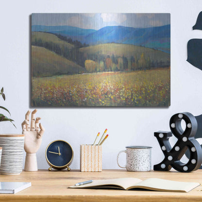 Luxe Metal Art 'Mountain Pass I' by Tim O'Toole, Metal Wall Art,16x12