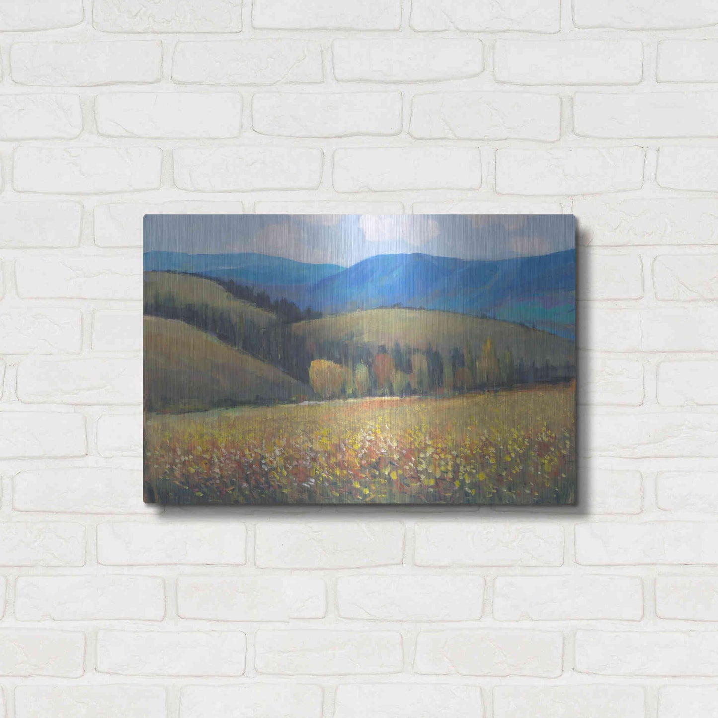 Luxe Metal Art 'Mountain Pass I' by Tim O'Toole, Metal Wall Art,24x16