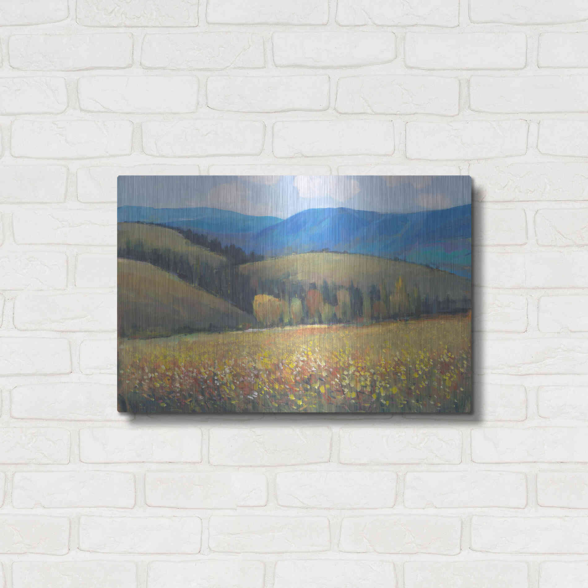 Luxe Metal Art 'Mountain Pass I' by Tim O'Toole, Metal Wall Art,24x16