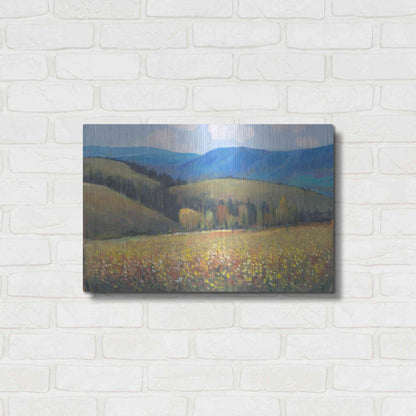 Luxe Metal Art 'Mountain Pass I' by Tim O'Toole, Metal Wall Art,24x16