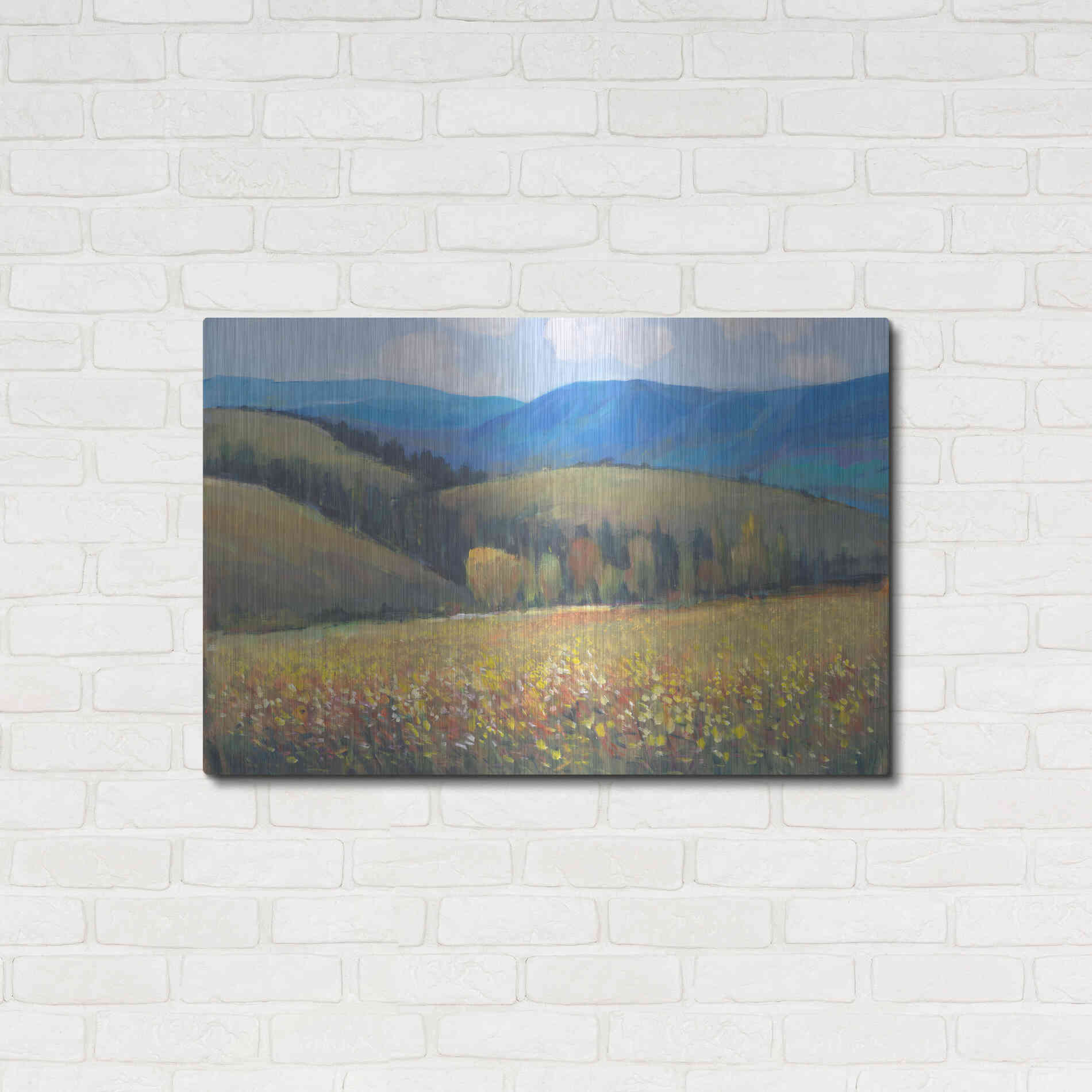 Luxe Metal Art 'Mountain Pass I' by Tim O'Toole, Metal Wall Art,36x24