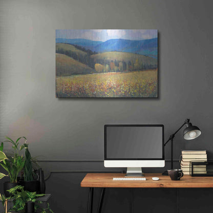Luxe Metal Art 'Mountain Pass I' by Tim O'Toole, Metal Wall Art,36x24