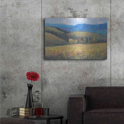 Luxe Metal Art 'Mountain Pass I' by Tim O'Toole, Metal Wall Art,36x24