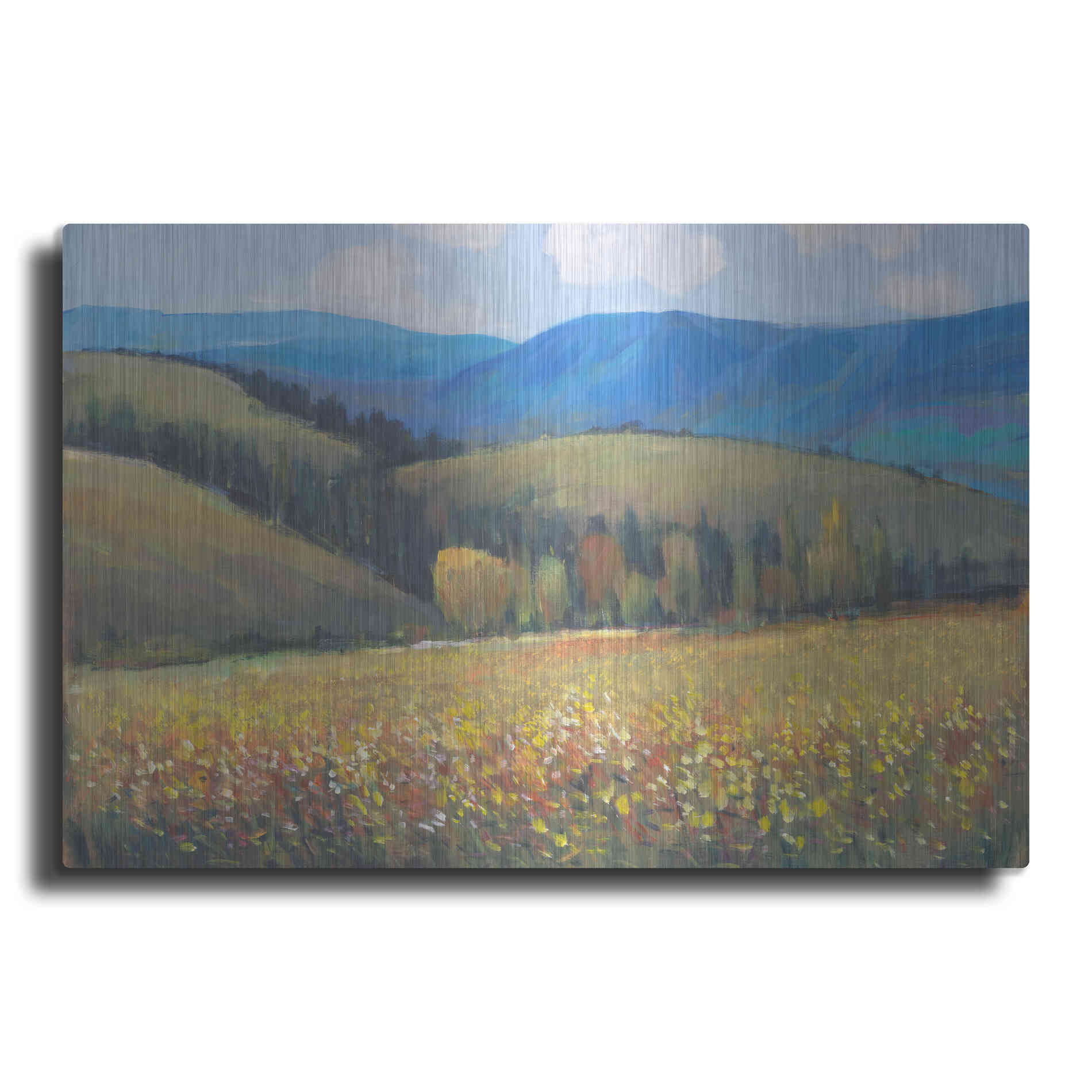 Luxe Metal Art 'Mountain Pass I' by Tim O'Toole, Metal Wall Art