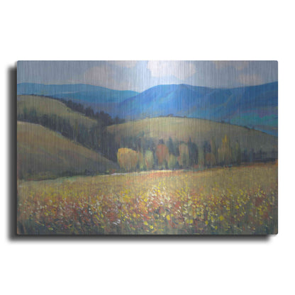 Luxe Metal Art 'Mountain Pass I' by Tim O'Toole, Metal Wall Art