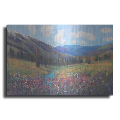 Luxe Metal Art 'Mountain Pass II' by Tim O'Toole, Metal Wall Art